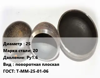 Заглушка стальная 25 Сталь: 20 Ру1.6 поворотная плоская ГОСТ: Т-ММ-25-01-06